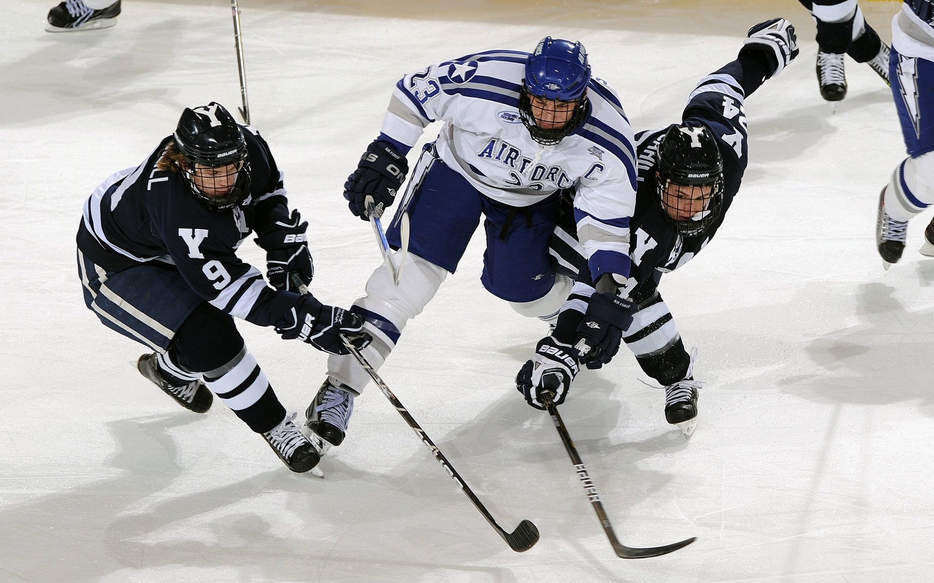 “未来之星”青少年篮球明星培养工程在湖北全面铺开，助推青训产业发展