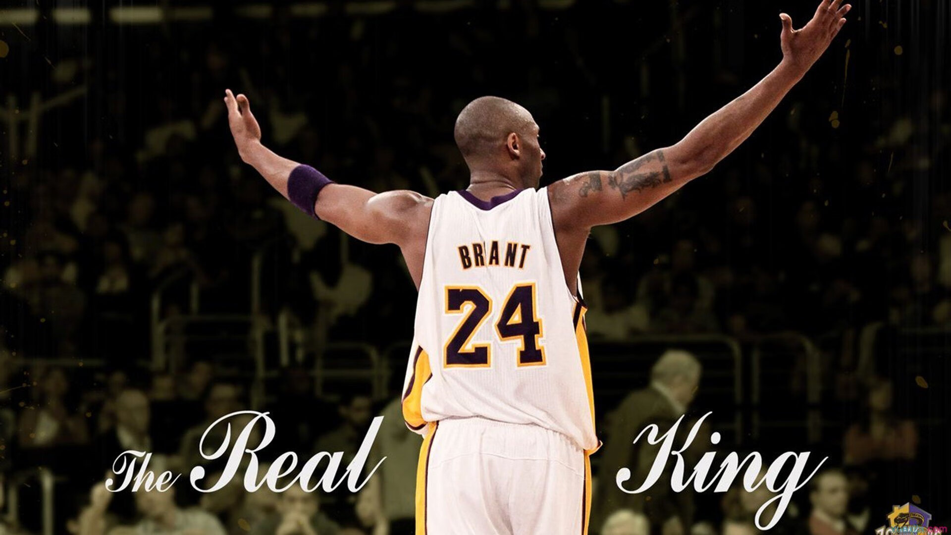 【季后赛前瞻】悬念丛生的淘汰赛预测，淘汰赛概念