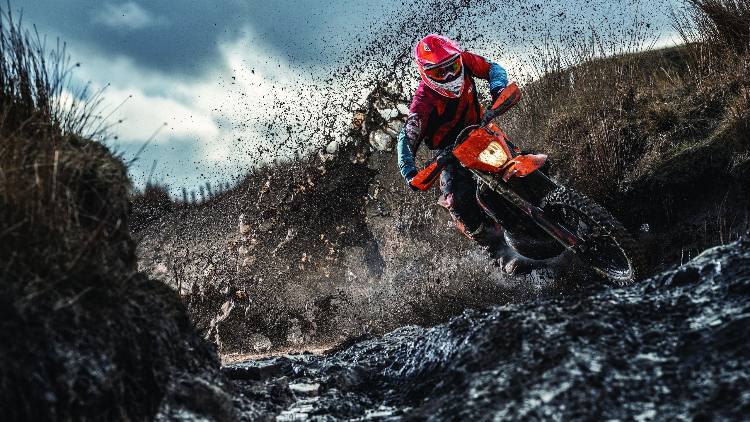 勇士新秀崭露头角，成为球队未来希望，勇士错过的新秀