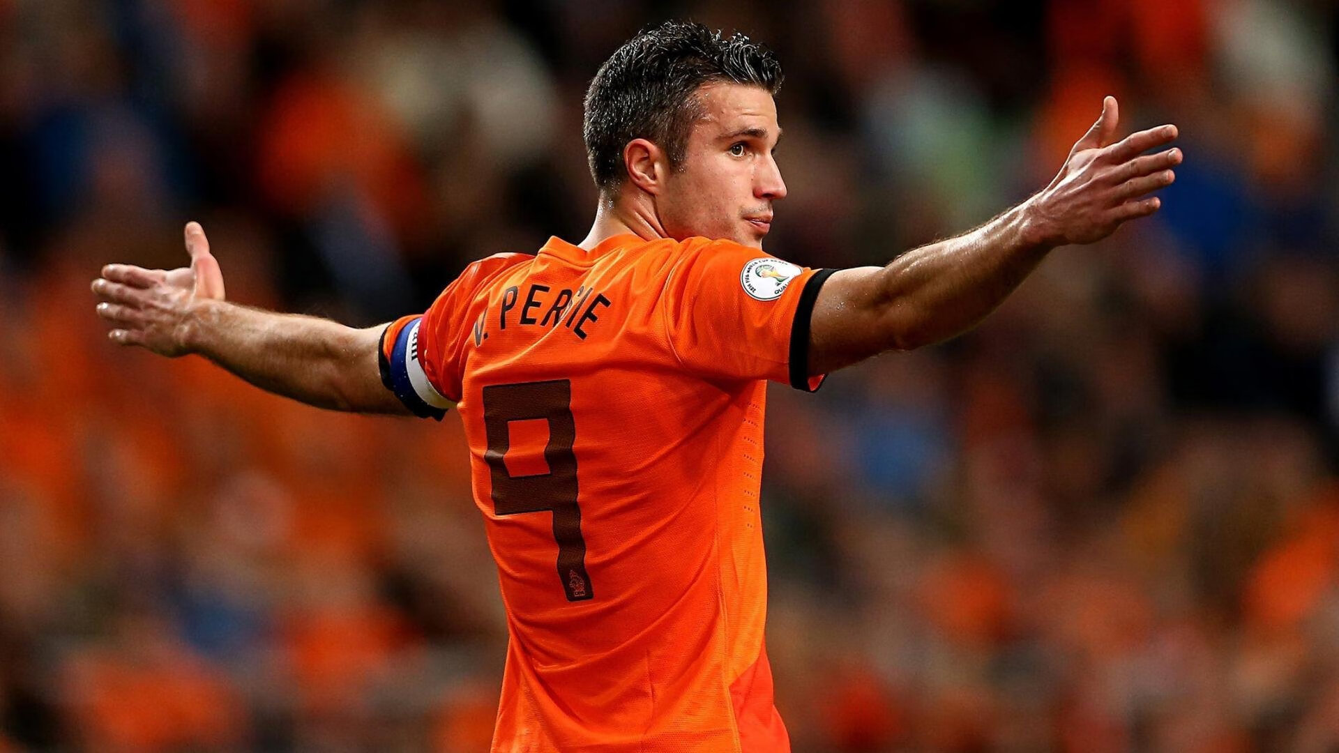 九游jiuyou-摩洛哥马术协会建立马匹基因数据库，促进马匹选育与训练。，摩洛哥马赛克简介